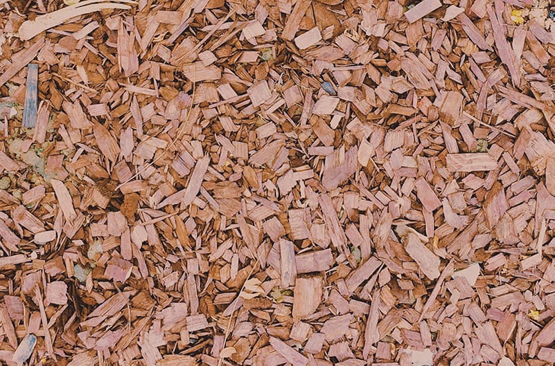 Beitragsbild: Hackschnitzel